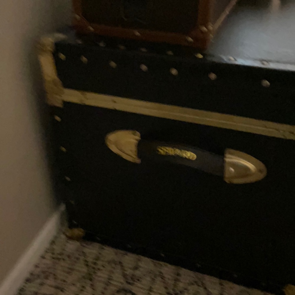 Seward Trunk - Picture 3 of 5